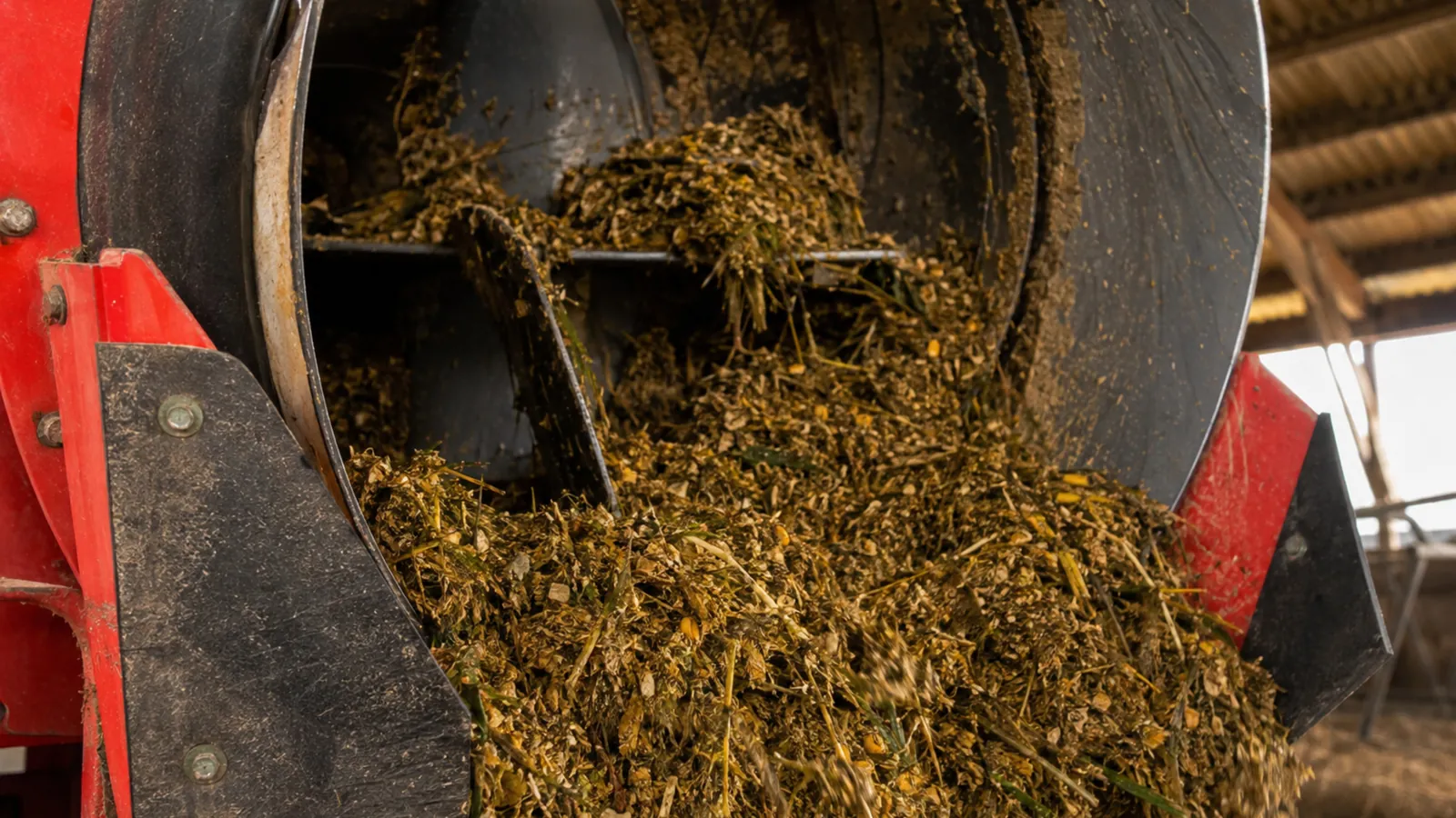 Nahaufnahme der Mischtrommel und Futterausgabe mit frischer Silage-Mischung im Detail