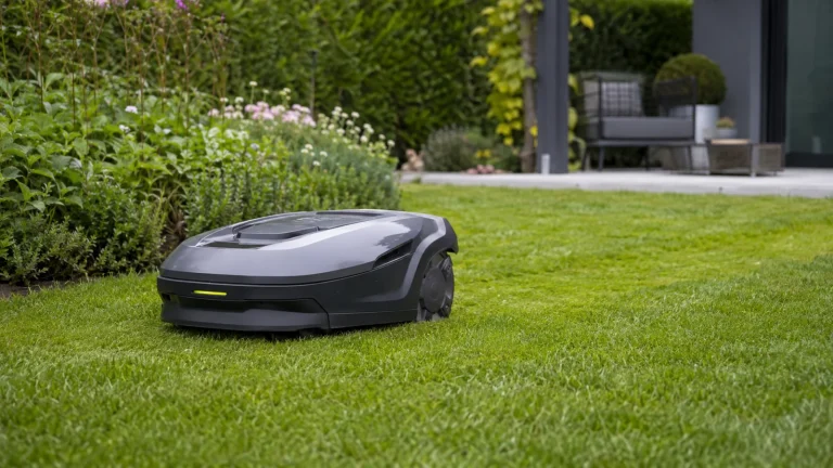 Mähroboter fährt über einen gepflegten Rasen im ruhigen Tageslicht