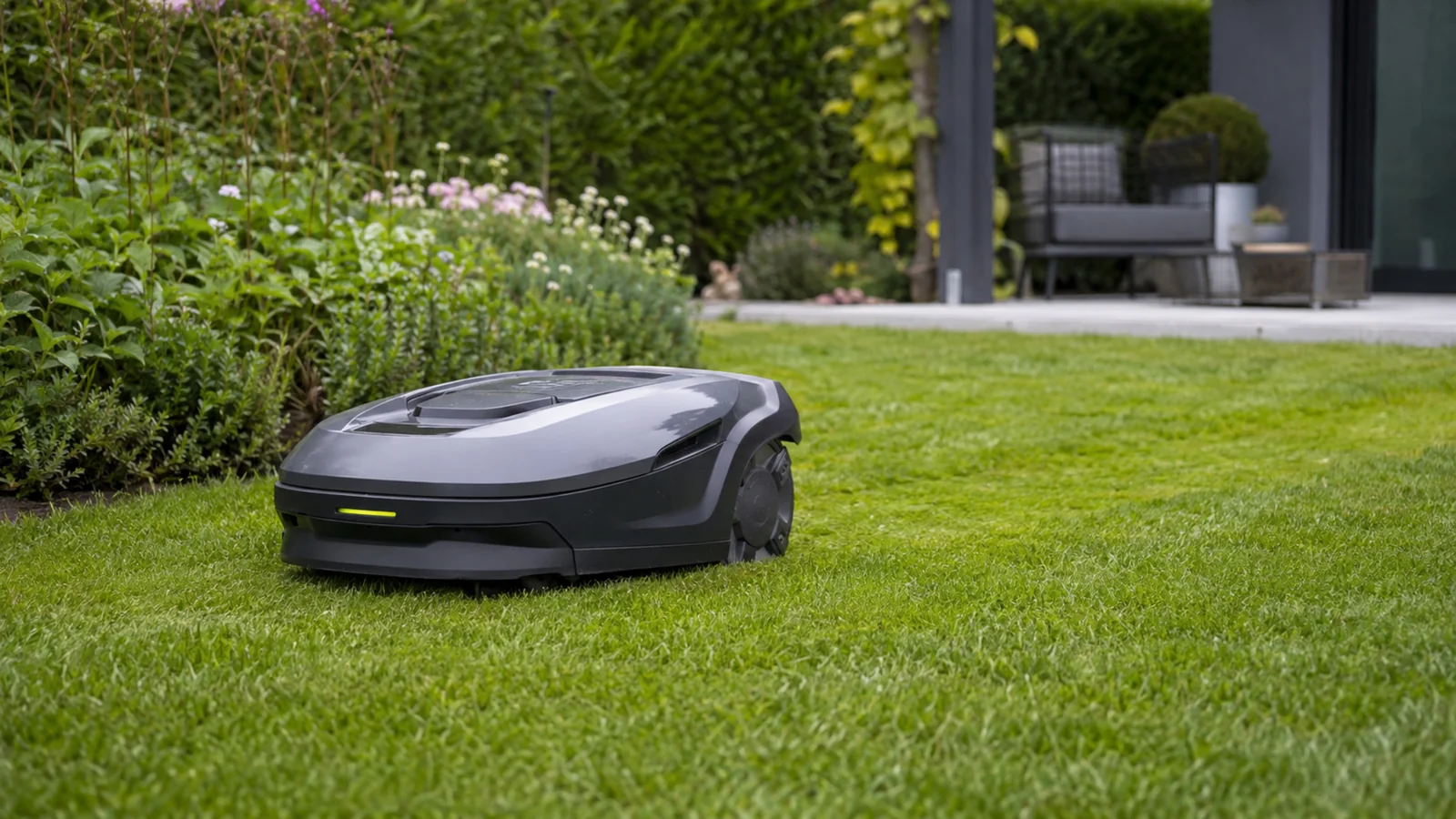 Mähroboter fährt über einen gepflegten Rasen im ruhigen Tageslicht