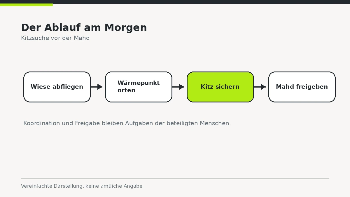 Schrittfolge von Wiese abfliegen, Wärmepunkt orten, Kitz sichern, Mahd freigeben.